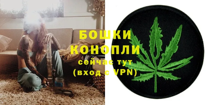 Бошки Шишки семена  блэк спрут tor  Вичуга 